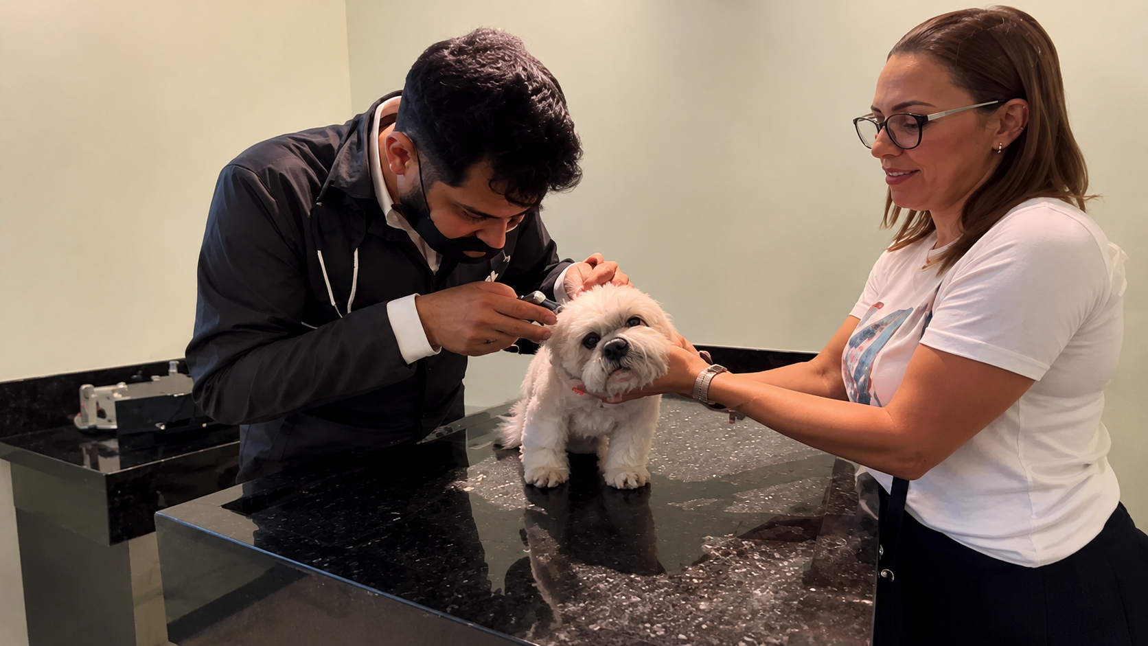 Consulta veterinária no CEDVET
